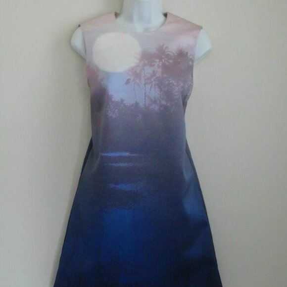 NWT VICTORIA BECKHAM Multi Color Sun Dream Dropped Hem Shift Dress 42/6 - Picture 1 of 7